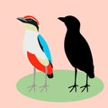 Blue winged pitta bird vector illustration flat style silhouette Royalty Free Stock Photo