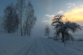 Blue winter landscape with fog and birches on a bend in the road Royalty Free Stock Photo