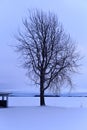 Blue winter moment by a snowy lake in Finland