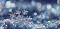 Blue winter snowflake background, greeting card, copy space Royalty Free Stock Photo