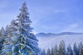 Blue winter wonderland with snowy trees and mountains and clear sky Royalty Free Stock Photo