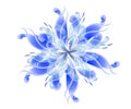 Blue Wispy Flower Blossoms Royalty Free Stock Photo