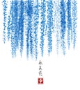 Blue Wisteria hand drawn with ink on white background. Contains hieroglyph - happiness, eternity, beauty, flower