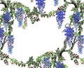 Blue wisteria tree