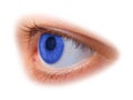 Blue woman eye Royalty Free Stock Photo