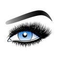 Blue woman eye with long false lashes.