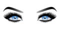 Blue woman eyes with long false lashes with eyebrows.