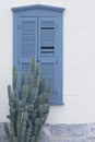 Blue wood shutters with cactus in front