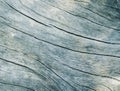 Blue wood texture close up photo. White and teal wood background. Royalty Free Stock Photo