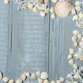 Blue wooden background with seashells and corals