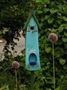 Bird feeder at the botanical garden Eden Project, Cornwall, England Royalty Free Stock Photo