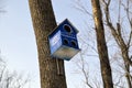 Blue wooden birdhouse with painted windows and three holes. It hanging on the tree in forest on sky background. Early spring, Russ Royalty Free Stock Photo