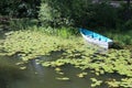 Russia: A wooden boat on a pond overgrown with water lilies and sedge Royalty Free Stock Photo