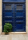 An old blue wooden door of Paris with a plant Royalty Free Stock Photo