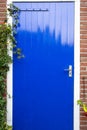 Blue wooden door with a green plant hanging, shed door close-up