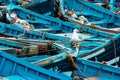 Blue wooden fishing boats with seagull close-up in the port of Essaouira, Morocco