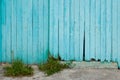 Blue wooden wall background damaged door old facade of an abandoned building with the cement floor and weeds Royalty Free Stock Photo