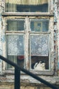 Blue wooden window of an old country house with funny cat