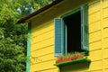 Blue wooden window shutters on vivid yellow house among green foliage in sunlight Royalty Free Stock Photo