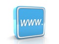 Blue WWW icon Royalty Free Stock Photo