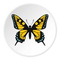 Blue and yellow butterfly icon, flat style Royalty Free Stock Photo