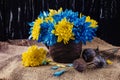 Blue and yellow chrysanthemum flowers and a ripe poppy. Patriotic composition.