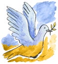 Blue-yellow dove of peace for Ukraine. Watercolor illustration of a bird in the colors of the Ukrainian flag isolated on a white