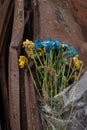 blue yellow faded flowers on a burnt car