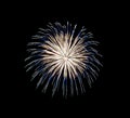 Blue and yellow fireworks display on night sky Royalty Free Stock Photo