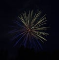 Blue-Yellow Fireworks Royalty Free Stock Photo