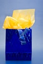 Blue and Yellow Gift Bag Royalty Free Stock Photo