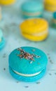 Blue and yellow macaroons on a solid blue background, lavender flowers on the top Royalty Free Stock Photo