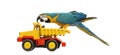 Blue-and-yellow Macaw, Ara ararauna, 30 years old, riding a truck, lorry