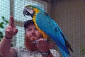 Blue-and-yellow macaw with a birds trainer