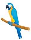 Blue yellow parrot, illustration Royalty Free Stock Photo