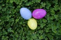 3 Hidden Plastic Eggs