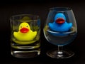 Blue and yellow rubber duck in glasses Royalty Free Stock Photo