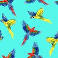 Blue and yellow and Scarlet macaw flying, seamless pattern design