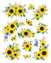 Set of blue and yellow flowers. Vector illustration