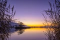 Silhouette of Reed at serene Lake Royalty Free Stock Photo