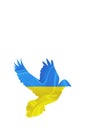 Blue-yellow Ukrainian flag with the silhouette of the dove of peace isolated on white Royalty Free Stock Photo