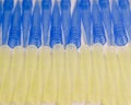 Blue and yellow universal laboratory pipet tips. Laboratory and science material concept