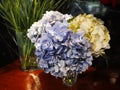 Blue yellow and white color Hydrangea or Ajisai blue flower in clear glass bottle on wooden desk Royalty Free Stock Photo