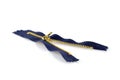Blue zipper isolated Royalty Free Stock Photo