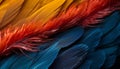 Blueandyellow_Macaw_Ara_ararauna_feathers_1690601511687_5