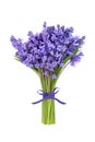 Bluebell Flower Bouquet for Spring