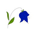 Bluebell flower. Idea for invitation, greeting, wedding, celebration, spring themes. Logo, icons, decor.