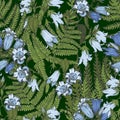 Bluebell flowers and fern leaves on a dark green background Royalty Free Stock Photo