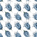 Bluebell flowers pattern