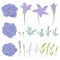 Bluebell, geranium flowers, sagebrush leaves and buds set. Rustic floral design elements